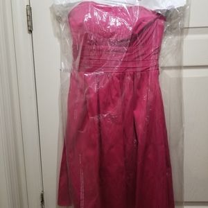 Strapless David's Bridal Dress